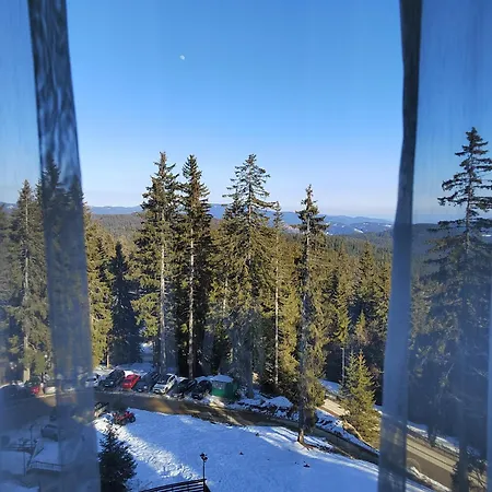 Mountain & Apartment Pamporovo