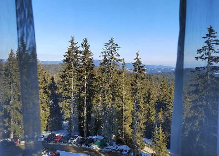 Mountain & Apartamento Pamporovo